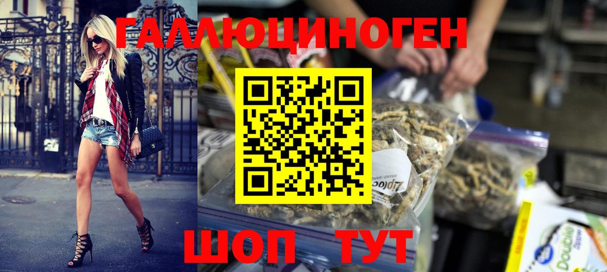 Котовск  Галлюциногенные грибы GOLDEN TEACHER  Вход с VPN 
